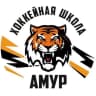 MAX-канал Amurschool27