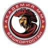 MAX-канал Академия ММА (Уфа)
