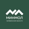 MAX-канал Министерство молодежи Челябинской области