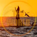 Канал The World | Путешествия факты животные море природа горы туры планета земля самые красивые места на планете океан пляж travel туризм турвизор Россия про путешествия сочи отдых кудапоехать в MAX
