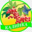 Канал МДБОУ "Д/с 63 "Калинка" в MAX