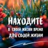 MAX-канал Канал MAX_Коктебельская школа