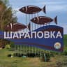 MAX-канал Шараповская территориальная администрация
