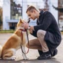 Канал Собаки Чаты 🐶 в MAX