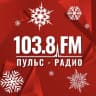 MAX-канал Пульс-Радио - 103.8 FM