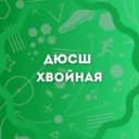 Канал ДЮСШ Хвойная в MAX