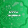MAX-канал ДЮСШ Хвойная