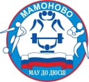 Канал ДЮСШ г. Мамоново в MAX
