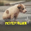 Канал ПОТЕРЯШКИ Кемерово в MAX