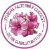 MAX-канал Петуния Воскресенск