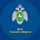 Канал МЧС Томской области в MAX