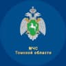 MAX-канал МЧС Томской области