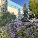 Канал Больница Святителя Луки в MAX