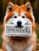 Канал Газета "Новости Первомайска" в MAX