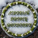Канал Ледовый дворец Мордовии в MAX