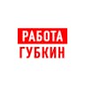 MAX-канал Работа в Губкине