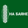 MAX-канал НА БАЯНЕ