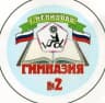 MAX-канал Гимназия №2 Нелидово