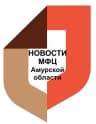 MAX-канал МФЦ Амурской области (Новости)