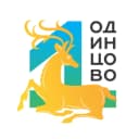 Канал Одинцово Оперативно в MAX