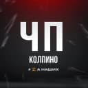 Канал ЧП Колпино в MAX