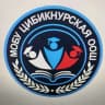 MAX-канал МОБУ"Цибикнурская ООШ"