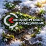 MAX-канал Сахкино
