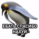Стикеры Набор стикеров my в MAX
