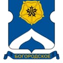 Канал Богородское в MAX