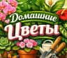 MAX-канал Домашние цветы | Комнатные растения