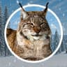 MAX-канал Ивановский зоологический парк / Ivanovo Zoo