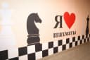 Канал Шахматы и шашки в городе Нижний Тагил в MAX
