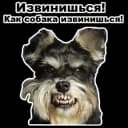 Стикеры Набор стикеров Собаки-мемы 2 в MAX