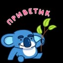 Стикеры Набор стикеров Коала в MAX