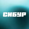MAX-канал Карьера в СИБУРе