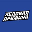 Канал Ледовая Дружина в MAX