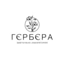 Канал ГЕРБЕРА ЦВЕТЫ СТАВРОПОЛЬ в MAX