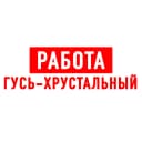Канал Работа Гусь-Хрустальный в MAX