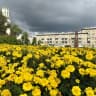 MAX-канал Администрация Центрального района города Новокузнецка