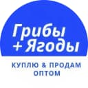 Канал Грибы + Ягоды | Купить, Продать, Оптом. в MAX