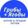 MAX-канал Грибы + Ягоды | Купить, Продать, Оптом.
