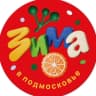 MAX-канал Муниципальный округ Шаховская