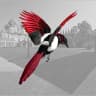 MAX-канал Тихвинская сорока ✔️