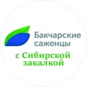 Канал Бакчарские саженцы | АО "Бакчарское" | Жимолость в MAX
