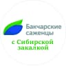 MAX-канал Бакчарские саженцы | АО "Бакчарское" | Жимолость