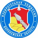 Канал ИЗБИРКОМ Воронежской области в MAX