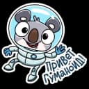 Стикеры Набор стикеров Коала в MAX