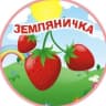 MAX-канал МБДОУ д/с № 1 "Земляничка" г. Кумертау