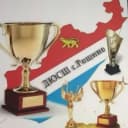 Канал МКУ ДО "ДЮСШ" с. Рощино в MAX