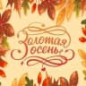 MAX-канал ГАУСО СО «КЦСОН «Золотая осень» города Нижний Тагил»